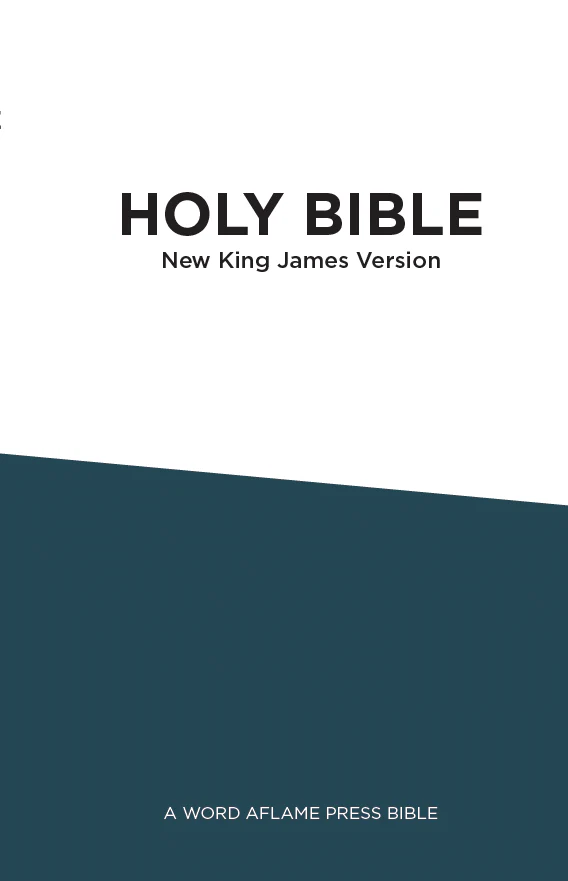 Black Friday Flash Sale bible studies 11/30